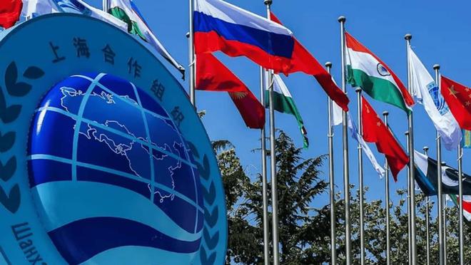 度得到真正的实惠莫迪发文感谢中国OG真人全员赞成天津宣言通过印(图6)